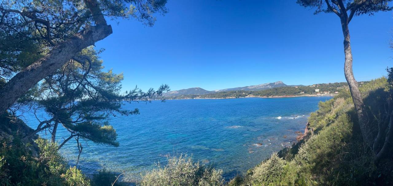Appartement Cosy Vue Mer A 50 M De La Plage - Refait A Neuf Et Climatise Le Pradet Dış mekan fotoğraf