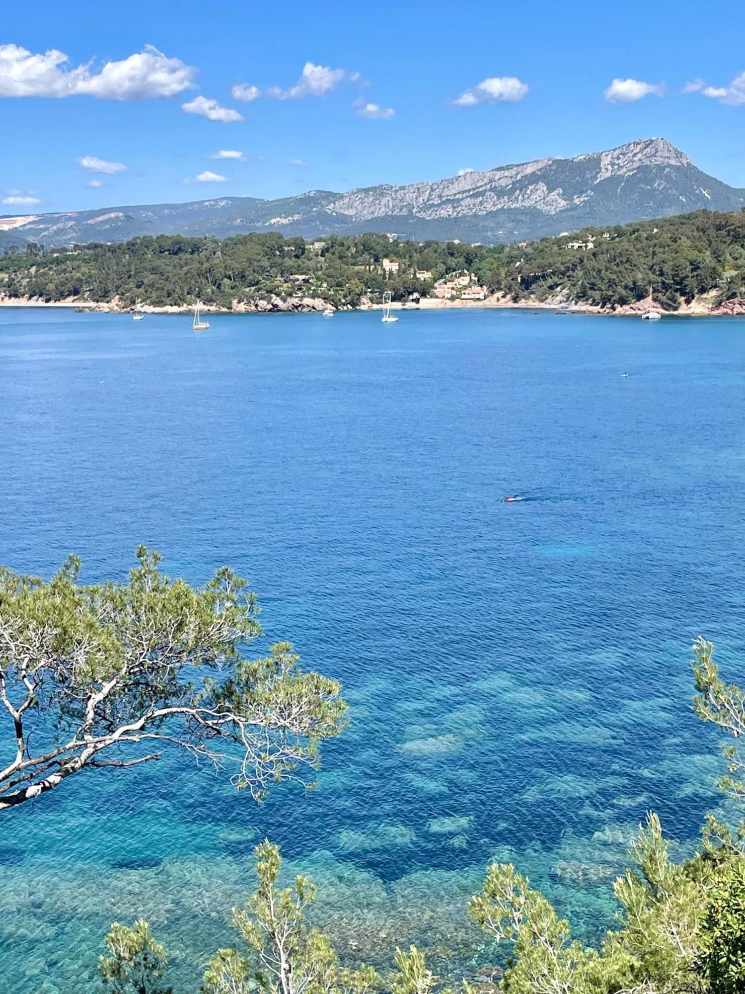 Appartement Cosy Vue Mer A 50 M De La Plage - Refait A Neuf Et Climatise Le Pradet Dış mekan fotoğraf