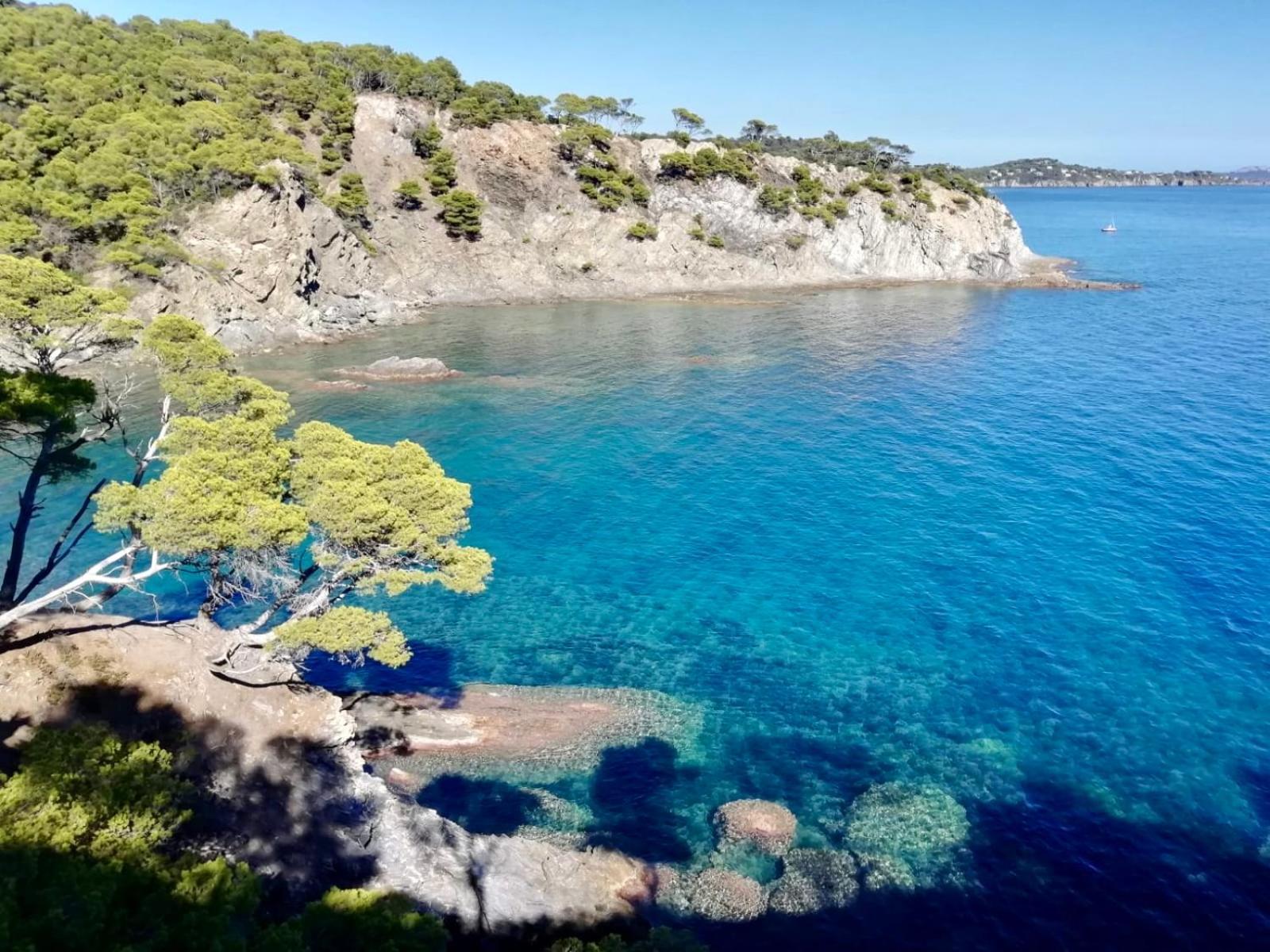 Appartement Cosy Vue Mer A 50 M De La Plage - Refait A Neuf Et Climatise Le Pradet Dış mekan fotoğraf